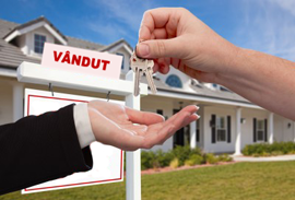 tranzactii rapide si sigure